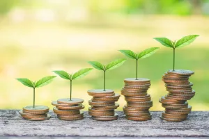 Ressourcenschonend und effektiv: Nachhaltigkeit mit Cash Today