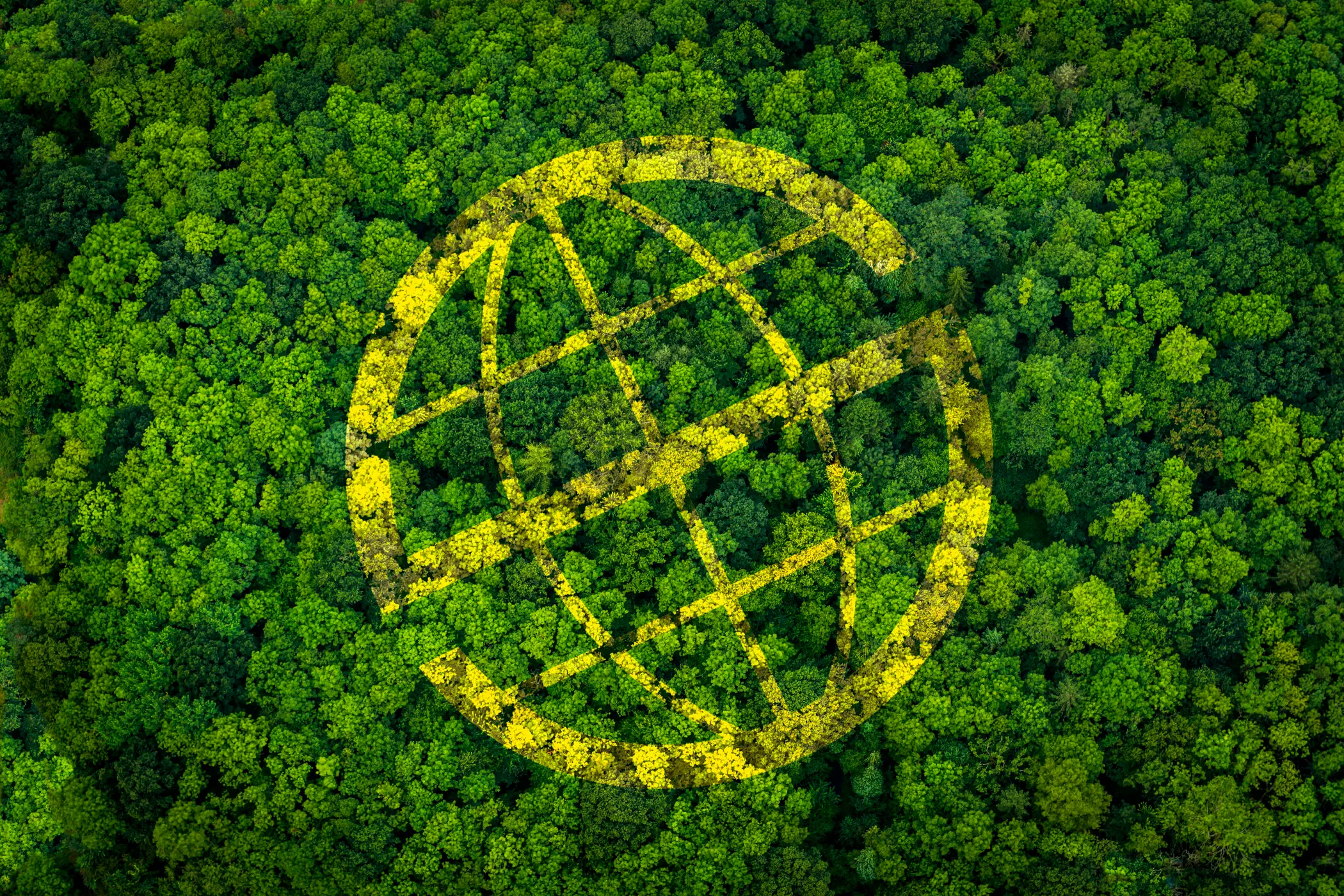 Die gelbe Prosegur-Kugel in grünem Wald